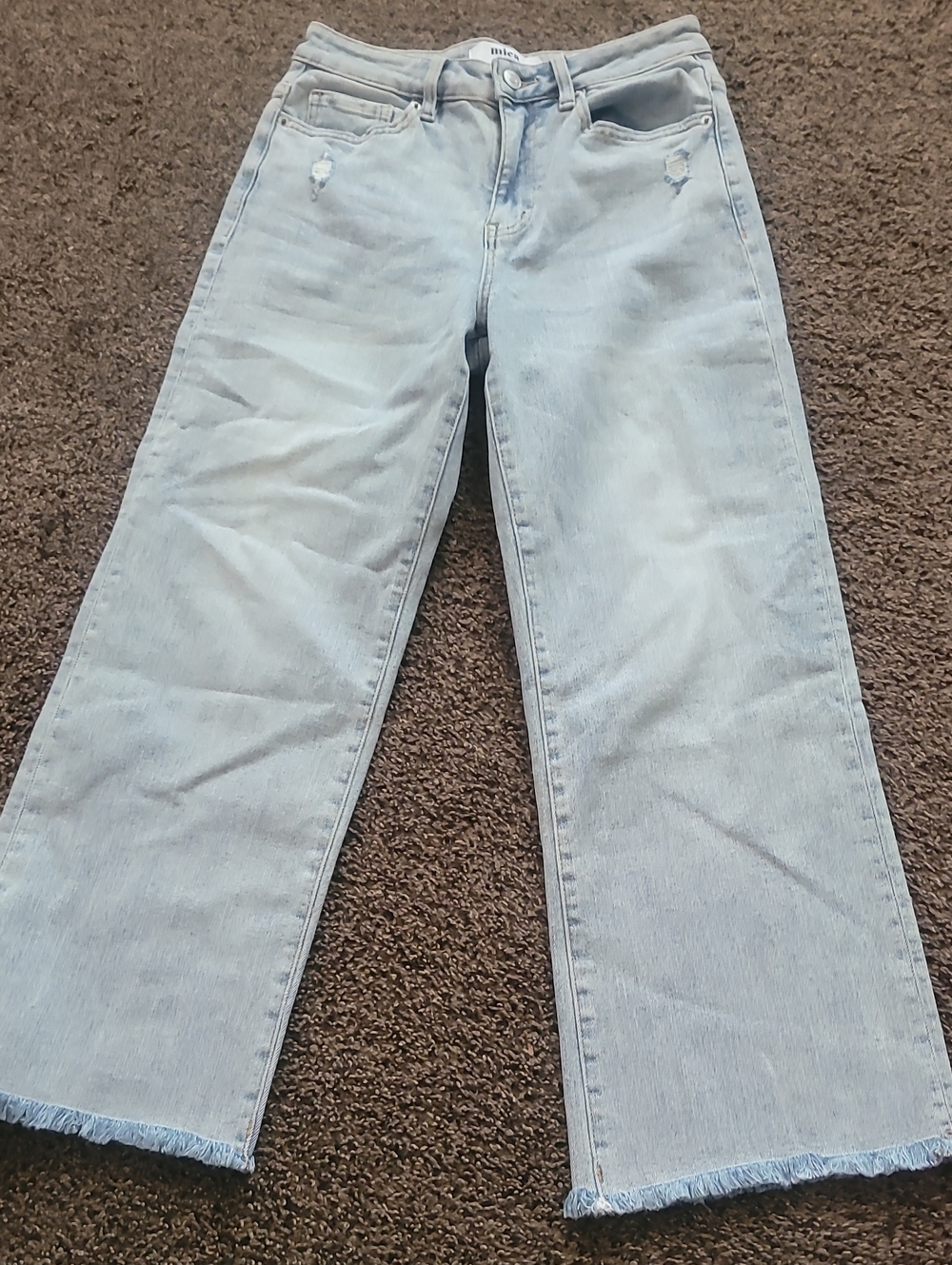 Mica Light Blue High-Rise Cropped Wide Leg Jeans with Frayed Hem